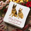 Custom Photo Dog Christmas Napkins Personalized Christmas Cocktail Napkins Decor Xmas Napkin Party Dog Cat Pet Napkin Style 4 view 3
