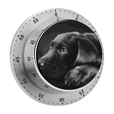 Black Labrador Puppy Timer Durable Mechanical Kitchen Timer Clock Portable Stainless Steel Time Management Tool Countdown Timers for Office Sport Cooking