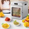 YIGECHENXIN Electric Food Dehydrator Machine Stainless Steel Adjustable Temperature Fruit Vegetables Dryer with 10 Tray Time-Saving and Labor-Saving Easy to Clean(220V/110V),220V view 3