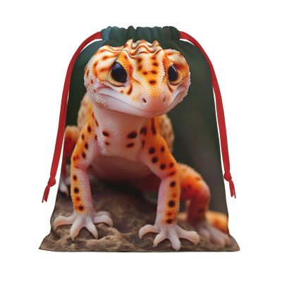 LIXLZH Sand Leopard Gecko Print Drawstring Gift Bag Reusable Holiday Party Storage Bags Large Medium Small Sizes