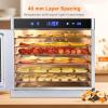 lilishangmao Food Dehydrator Machine with 6 Stackable Stainless Steel Trays, 35C-75C Food Dehydrator for Fruits, Veggies and Meat, Electric Home Dryer Machine, Visible Glass Front Door Silver view 3