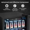 Electactic Wine Fridge Freestanding Counter-top 12 Bottles, 50 Cans Wine Cellar Drink Cooler for Soda, Canned Beer, Adjustable Digital Temperature Control for Home Dorm Office, Black view 2