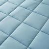 Thickened Quilted Mattress Protector - Mattress Cover Zippered Encasement, 90x190/90x200/180x200 cm, Breathable, Non-Slip, Fits Twin/Queen/King & Custom Sizes(Light Blue,160x200x30cm) view 4