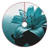 Christmas Tree Skirt Ornaments 30"x30" Xmas Tree Skirt with Stitched Edges Winter Holiday Teal Lily Tree Mat Base Cover for New Year Party Decor Home Indoor Outdoor Decorations view 1