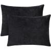1 MIDDLE ONE 2 Pack Small Pillow, 16 X 12 Inches, Memory Foam Mini Pillow for Travel, Camping, Sleeping, Nap and Neck, Knee, Lumbar Support, Tiny Cushion for Pet, Dogs (Black) view 1