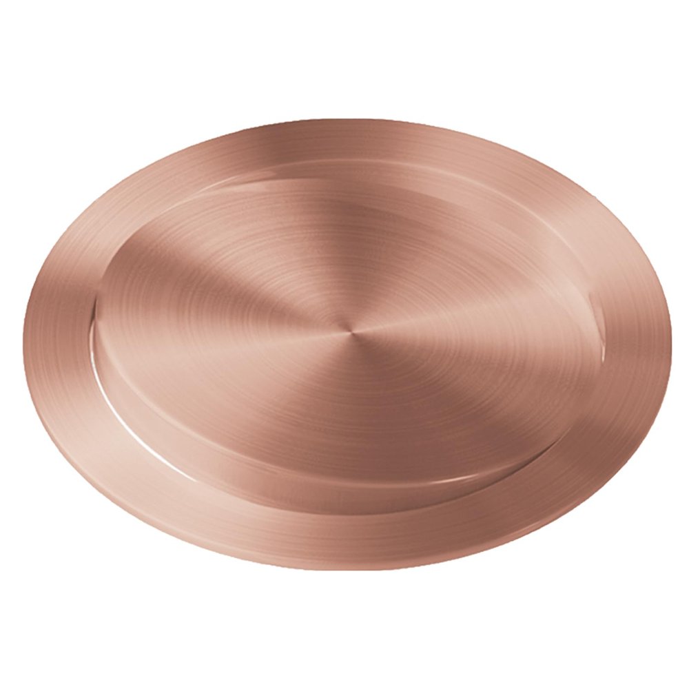 AUPUXNSX Stainless Steel Swing Trash Flap Lid, Hidden Flush Garbage Cover, Round Built-in Trash Chute Cover, Balance Waste Recessed Counter Top Can Lid,Gold,252mm (Bronze-228mm