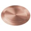 AUPUXNSX Stainless Steel Swing Trash Flap Lid, Hidden Flush Garbage Cover, Round Built-in Trash Chute Cover, Balance Waste Recessed Counter Top Can Lid,Gold,252mm (Bronze-228mm view 1
