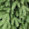 Artificial Christmas Trees 70/120/150/180/210/240cm Small Christmas Tree Green PE Material Fake Outdoor Christmas Trees for Home, Office, Party Decoration(150cm/59.1") view 4