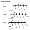 WTWU Christmas Wall Hanger 5 Adjustable Metal Hooks for Wreaths Lights Holiday Plant Displays Convivial Stretch Plant Clothes Rack view 4