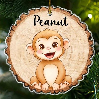 Personalized Monkey Christmas Ornament 2026, Custom Monkey Wooden Style Ornaments with Name, 2D Flat Acrylic Ornament for Animal Lovers Kids Son Daughter, Jungle Animal Christmas Tree Decoration