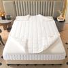6-Sided Full Zipped Mattress Cover Customizable Quilted Mattress Slipcover Zip Up Bed Fitted Sheet Double/Single/King Topper Washable Anti-dust 360Total Encasement Protector(Color4,200x210x25cm) view 2