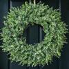 32'' Eucalyptus Wreath for Front Door - Large Artificial Eucalyptus Leaves with White Seeds Greenery Outdoor Wreath for Porch,Window,Farmhouse,Home,Hanging Decor- Spring, Summer, All Seasons (Green)  view 1