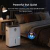 80 Pint Dehumidifier for Basement 5500 Sq. Ft. with Drain Hose, ENERGY STAR view 4