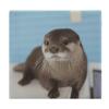 HEBVNJF Seat Cushion Memory Foam Office Chair Cushion Cute Otter Chair Pad for Soft Support Tailbone Pain Relief Sciatica view 1