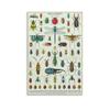 CYPGTBCK Vintage Types of Bugs Insects Poster Knowledge Education Wall Art Aesthetic Decorative Painting Living Roomstyle 16x24inch(40x60cm) view 1