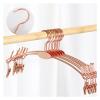 10/30PCS Gold Metal Hanger for Bra,Non-Slip Underwear Clothes Hangers with Two Clips,Wardrobe Storage Organizer for Hanging Pants(Gold Pant Rack,10PCS) view 2