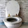WERTGHJ Marble Texture Toilet Seats Cover,Type Universal Slow-Close Buffer Lid view 3