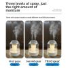 Luocute Double Spray Humidifier, 2L Large Capacity USB Powered Quiet Mist Humidifier for Home Bedroom Office, with Digital Display 3 Mist Modes Night Light view 2
