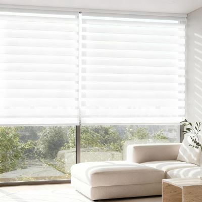 Cordless Zebra Blinds for Windows Dual Layer Roller Window Shades Light Filtering Sheer Privacy Window Blinds Easy to Install.White,22.5" W x 81" H