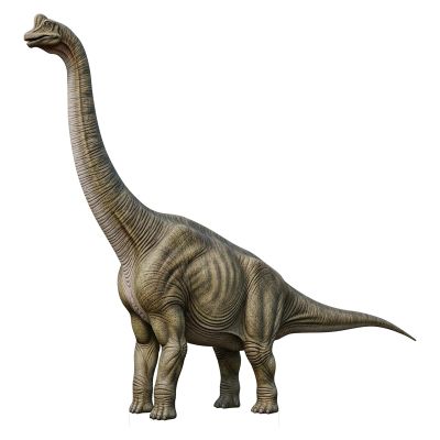 111PRINT Dinosaur Life Size Cardboard Cutout, 5ft Brachiosaurus Standee, 1-8ft Available Large Dinosaur Birthday Decoration, Perfect Decor for Theme Parties, Celebrations, Jurassic World Style Display