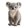 111PRINT Baby Koala 8FT Life Size Cardboard Cutout, Safari Animal Standup, Farm Decor, A Cute Standup for Baby Shower, Kids Birthday, Jungle Party, Photo Prop, 1PC view 1