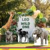 111PRINT Baby Koala 8FT Life Size Cardboard Cutout, Safari Animal Standup, Farm Decor, A Cute Standup for Baby Shower, Kids Birthday, Jungle Party, Photo Prop, 1PC view 2