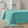 SS Rajput Premium 100% Egyptian Cotton Flat Sheet 600 TC Luxury Bedding, Ultra-Soft, Smooth & Breathable Cotton Top Sheet, Durable Hotel-Quality Bed Sheet Twin - Aqua view 3