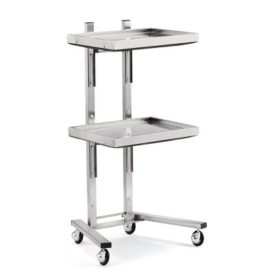 PUCNHZYNW 2-Tier Metal Rolling Cart, Stainless Steel Salon Storage Stand with Wheels Trolley Tray Storage Cart Kitchen Storage Trolley Utility for Bedroom Tattoo Shop