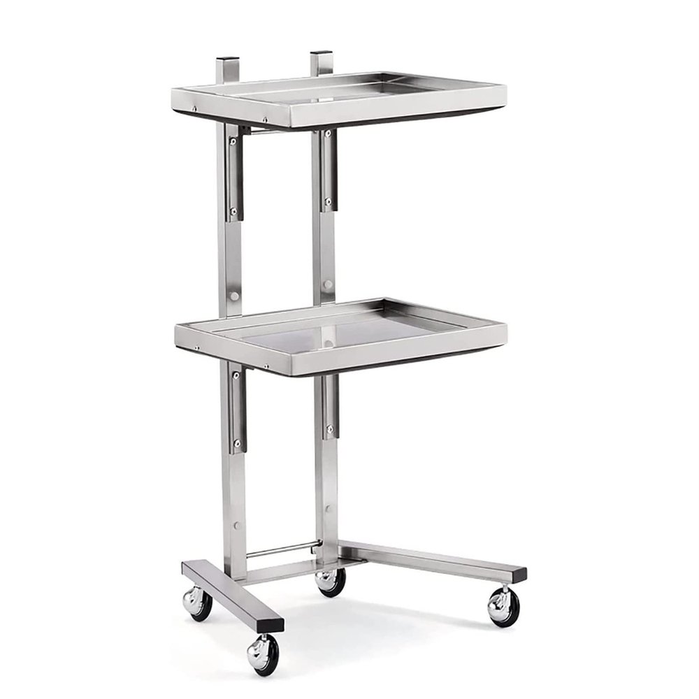 PUCNHZYNW 2-Tier Metal Rolling Cart, Stainless Steel Salon Storage Stand with Wheels Trolley Tray Storage Cart Kitchen Storage Trolley Utility for Bedroom Tattoo Shop