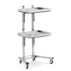 PUCNHZYNW 2-Tier Metal Rolling Cart, Stainless Steel Salon Storage Stand with Wheels Trolley Tray Storage Cart Kitchen Storage Trolley Utility for Bedroom Tattoo Shop view 1