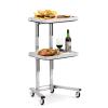 PUCNHZYNW 2-Tier Metal Rolling Cart, Stainless Steel Salon Storage Stand with Wheels Trolley Tray Storage Cart Kitchen Storage Trolley Utility for Bedroom Tattoo Shop view 4