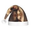 QASNLU cute Labrador Dog print Santa Hat Plush Light Up Funny Christmas Hat For skullcap Party Supplies Headwear view 3