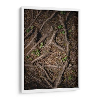 Canvas Lab | Root 2 by Caed Vidrio | 15 x 23 in | Fine Art Framed Print, Frame Color: White | Botanical, Scenery, Nature, Patterns, Trees, Forests, Rustic