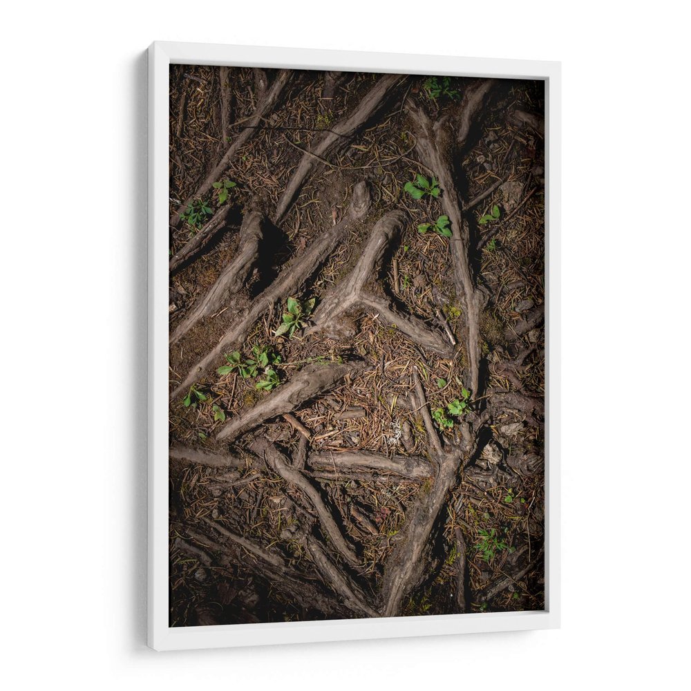 Canvas Lab | Root 2 by Caed Vidrio | 15 x 23 in | Fine Art Framed Print, Frame Color: White | Botanical, Scenery, Nature, Patterns, Trees, Forests, Rustic