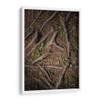 Canvas Lab | Root 2 by Caed Vidrio | 15 x 23 in | Fine Art Framed Print, Frame Color: White | Botanical, Scenery, Nature, Patterns, Trees, Forests, Rustic view 1
