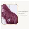 1Pair Tassel Curtain Tiebacks Single Hanging Ball Tassels Decorative Curtain Holdbacks for Drapes Decorative Tassel Ties Hook for Sheer Curtains(Golden Yellow) view 3