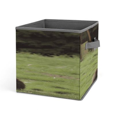 Hi Bear Sit on The Lawn Storage Box Simple Style Storage Cubes Folding Closet Organizers Fabric Boxs with Double Handles for Organization Pantry Closet Shelves Offices