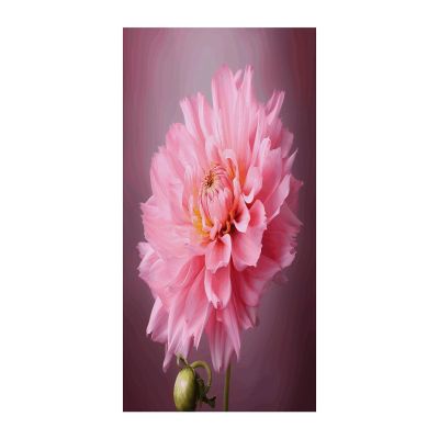 FekiLoot One Pink Flower Door Curtain Vintage Room Divider Curtain Modern Blackout Privacy Window Door Curtains for Doors Window Curtains for Glass 70 X 35.4 Inch