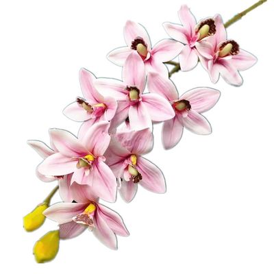 2-Pack Real Touch Artificial Orchid Branch, 12 Heads Faux Phalaenopsis for Home Office Floral Indoor Outdoor Decor(Pink)