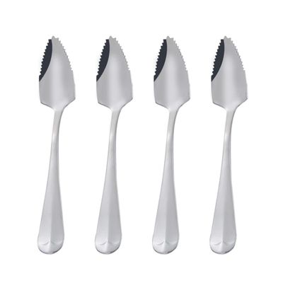 Hotainoys Stainless Steel Spoon Handle Jagged Fruit Spoon with Tooth Edge for Home Kitchen Scraping 4PCS Sliver Steel with Handle
