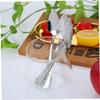 Hotainoys Stainless Steel Spoon Handle Jagged Fruit Spoon with Tooth Edge for Home Kitchen Scraping 4PCS Sliver Steel with Handle view 4