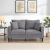 57" High Resilience Loveseat Sofa, Wooden Frame 2 Seat Sofa, Comfy, Small Space Saving Upholstered Sofa, Living Room Bedroom Apartment Small Space, Light Gray MY152 view 1