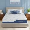EGOHOME Queen 12 inch Gel Cooling Memory Foam Mattress Fiberglass Free Firm view 1