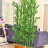 39 59 70 79 Inch Floor Partition Screen for Office/Parlor Reception Room/Balcony/Deck/Porch Landscaping, Outdoor Artificial Bamboo Tree, Freestanding Privacy Fence(W 31 1/2in-12 x H 79in) view 1