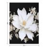 White Floral Blankets Flannel Soft Blanket for Couch Warm Cozy Throw Blankets Fashion Bed Blanket Thick Bath Towel Bedspread Tapestry for Home Supplies Gift 32"x48" view 2