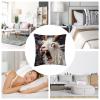 18x18 Pillow Cover, Screaming Goat Soft Plush Cushion Case, Funny Animal Throw Pillow, Home Decor Accent, Decorative Bed Couch Chair Accessory, Living Room Bedroom Apartment Dorm Hotel Farmhouse view 4