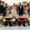 LemonRoad 36 Sets Plastic Martini Glasses, 12 oz, Black view 4