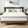 GAESTE Queen 10 Inch Hybrid Cooling Mattress, Medium Plush Feel view 1