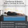 UniPon 14 inch Firm Mattress Queen, Hybrid Mattress with Back and Lumbar Hip Support, Fiberglass Free, 365 Nights Trial, 10 Years Warranty view 2