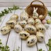 10 Pcs Easter Eggs,Sliver/Gold Speckled Plastic Easter Egg Ornaments,Centerpiece Table Decorations for Indoor Outdoor Home Vase Filler Basket Spring Party DIY view 4